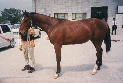 ű���� ����