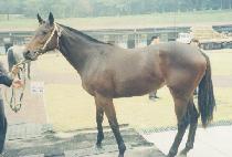 �޺��ҳ� (HAETBITSONYEO) ����