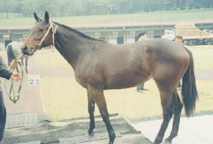 �޺��ҳ� ����