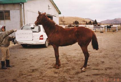 ����̵� ����