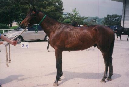 Ÿ���� ����