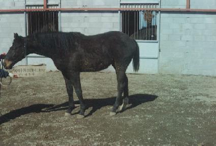 ū�ĵ� ����