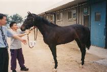 ������Ʈ (THE BEST) ����