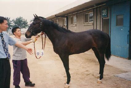 ������Ʈ ����