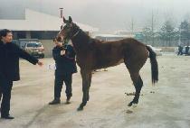 ž�Ŀ� (TOP POWER) ����