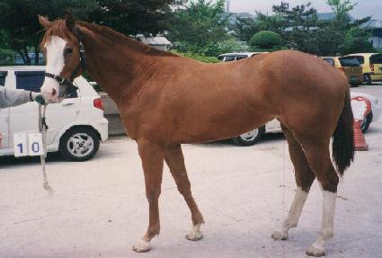 �帲�� ����