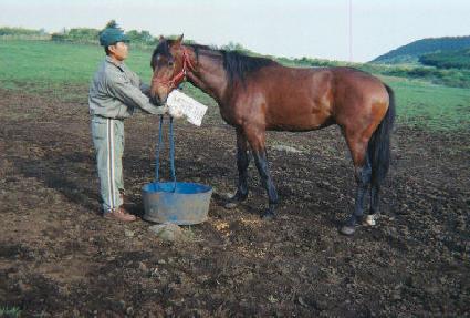 ī���ڶ� ����