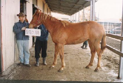 �帲ĳó ����