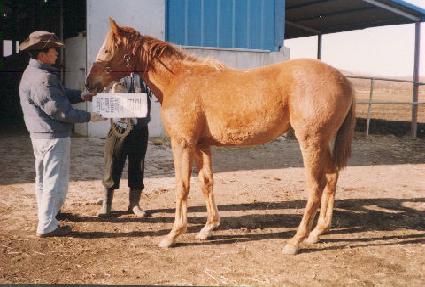 ���л� ����