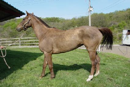 �Ѷ��� ����