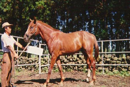 �ö�����Ʈ ����