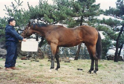 �븮����Ʈ ����