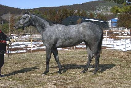 ����� ����