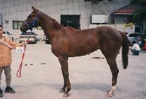 ���ڱ� (NANGJAGUN) ����