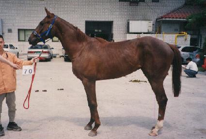 ���ڱ� ����