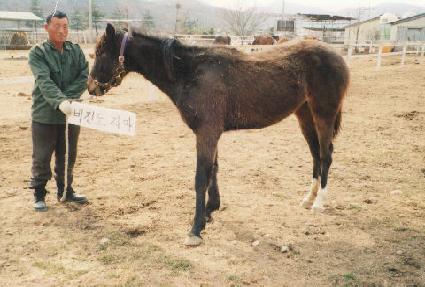 ���̳���Ʈ ����