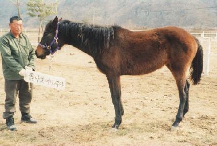 ������ ����