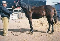 ���꿵�� (NONSAN YEONGUNG) ����