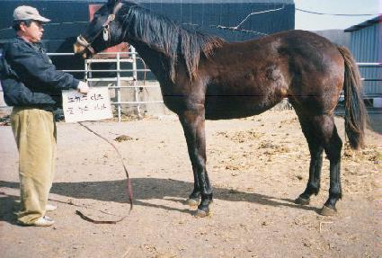 ���꿵�� ����