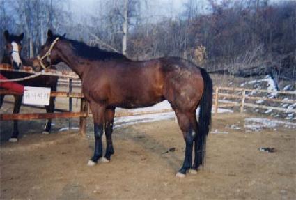 ���Ͻ�Ƽ ����