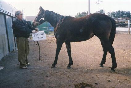 �ٶ����� ����