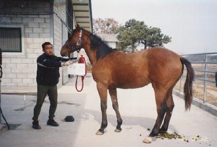 ���ο��� ����