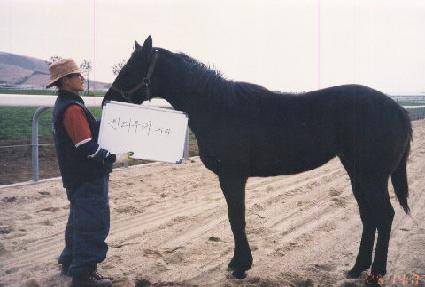 ����Ƽ�� ����