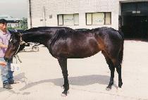 ������ (GAMSAHAE) ����