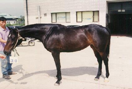 ������ ����