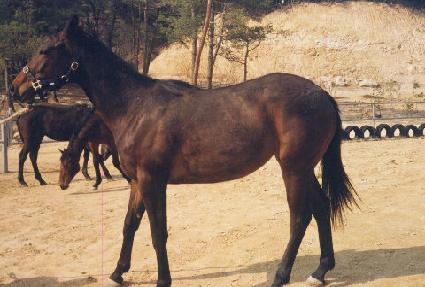 �а��� ����