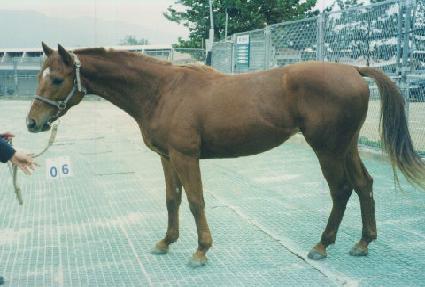 �����ο� ����