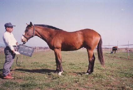 ���ڷ� ����