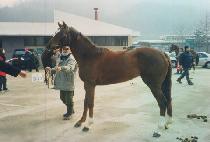 ����� (GYEMYEONGSAN) ����