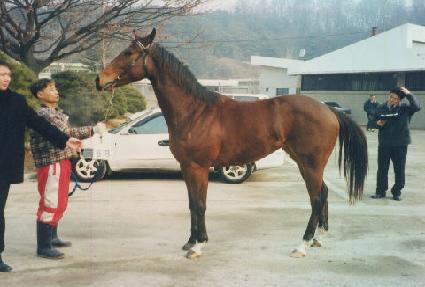 õ���ǳ ����