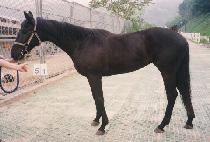 õ������ (CHEONSE MANSEUNG) ����