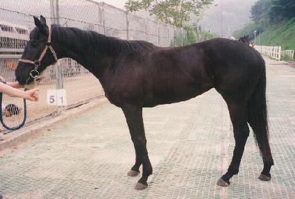 õ������ ����