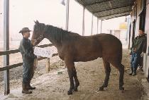 �ݵ��� (GEUMDORI) ����