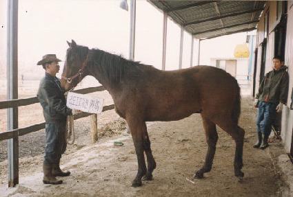 �ݵ��� ����