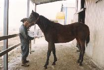 ������ (JAKJEONTONG) ����