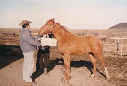 ���� ����