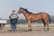 ������ (NAGAJA) ����