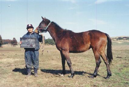 �����Ǹ��� ����