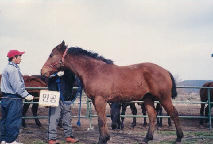 ȣ������ ����