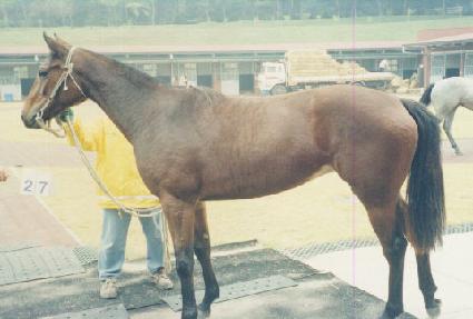 ��µ��� ����