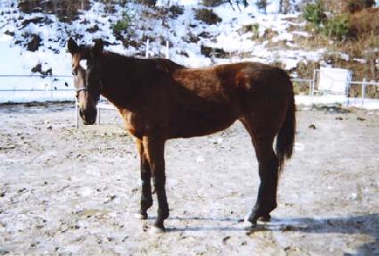 ���۵��� ����