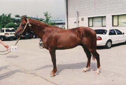 °����� ����