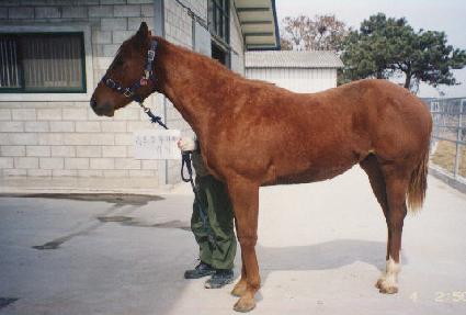 ������� ����