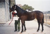 ��ۼ��� (GIPPEUN SEONGGONG) ����