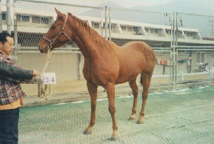 ���� ����