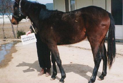 õ�� ����